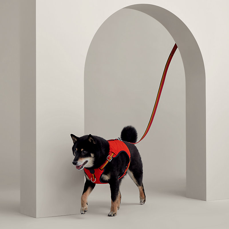 Jump dog harness M and L Hermes USA